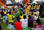 chilevsbrasil052.jpg