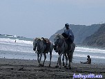 costaricabash252.jpg