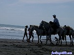costaricabash253.jpg