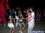 costaricabash270.jpg